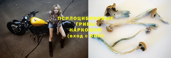 прущая мука Бородино