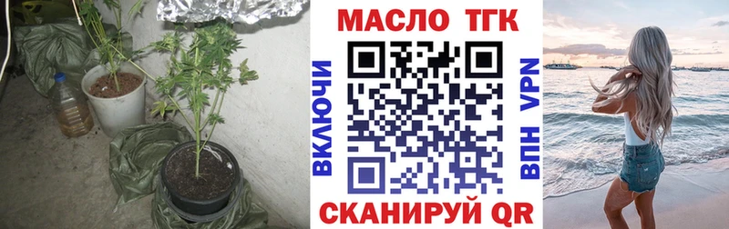 ТГК концентрат  Купить закладки  Берёзовский 