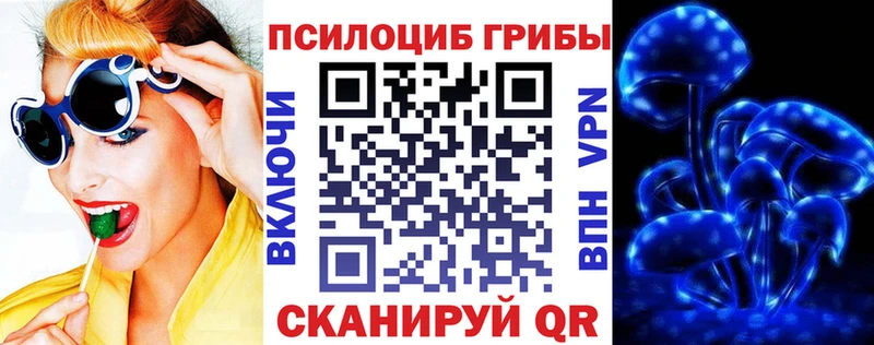 Псилоцибиновые грибы MAGIC MUSHROOMS Купить Берёзовский